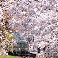 感動の美景鉄道/春夏秋冬