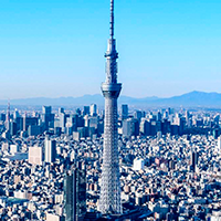 木製立体パズル「東京スカイツリー」